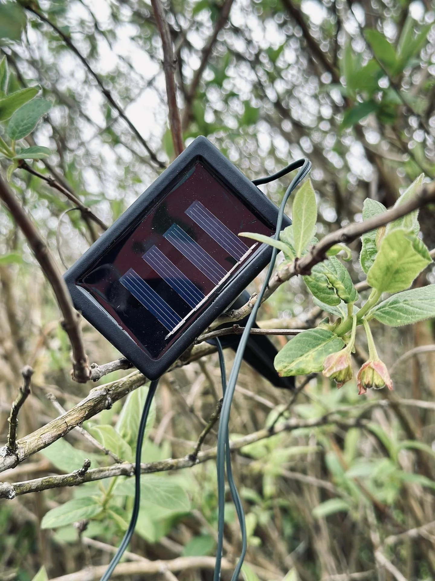Produktbild 9