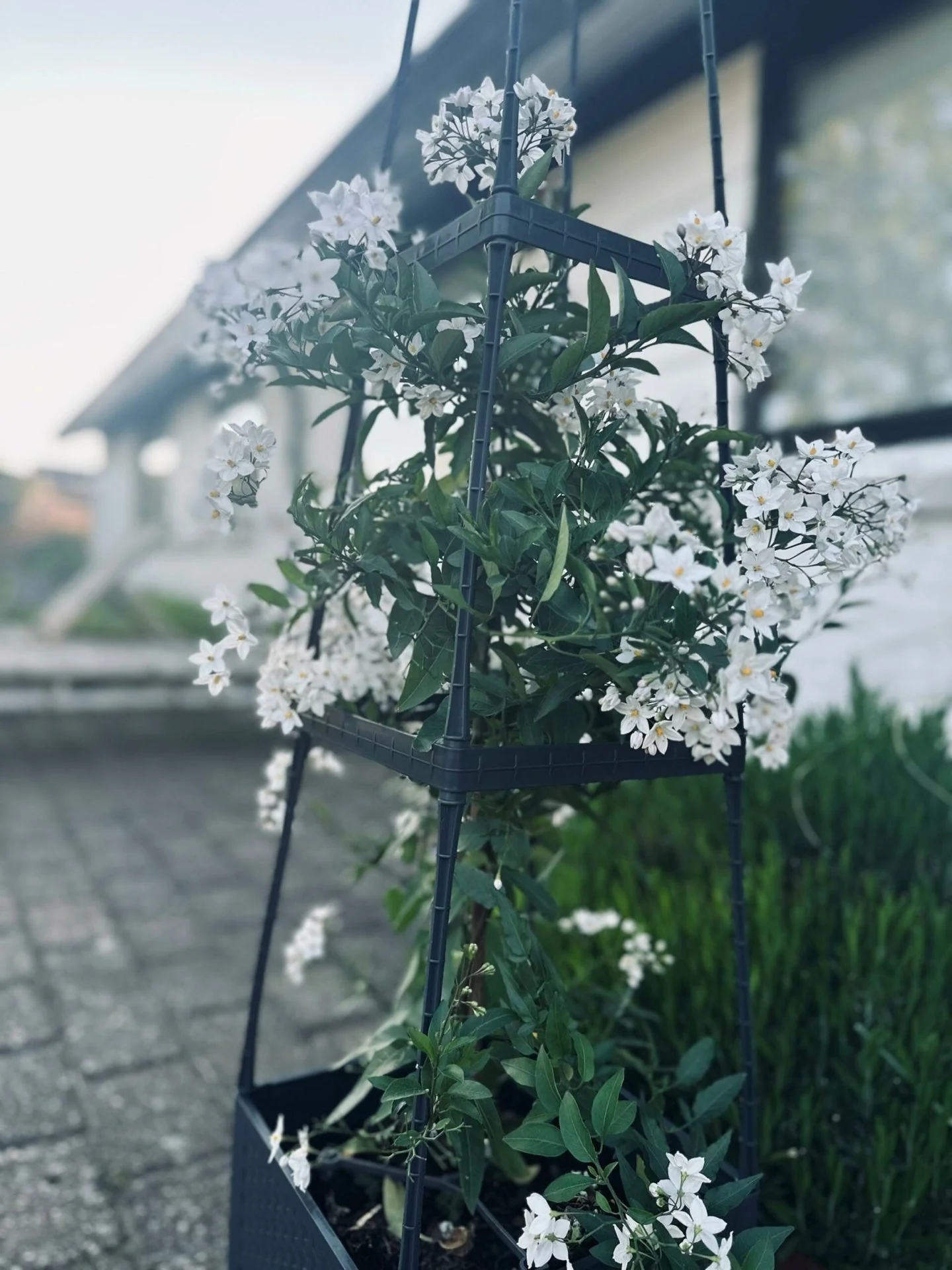 Produktbild 6
